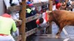 Three gored in final Pamplona bull run