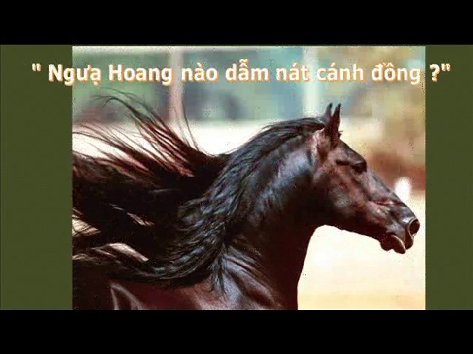 Caroline Thanh Hương trình bày show hình vui về thú vật