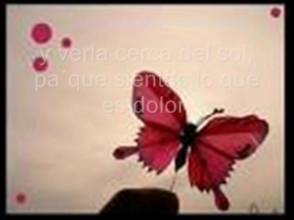 mariposa traicionera mana