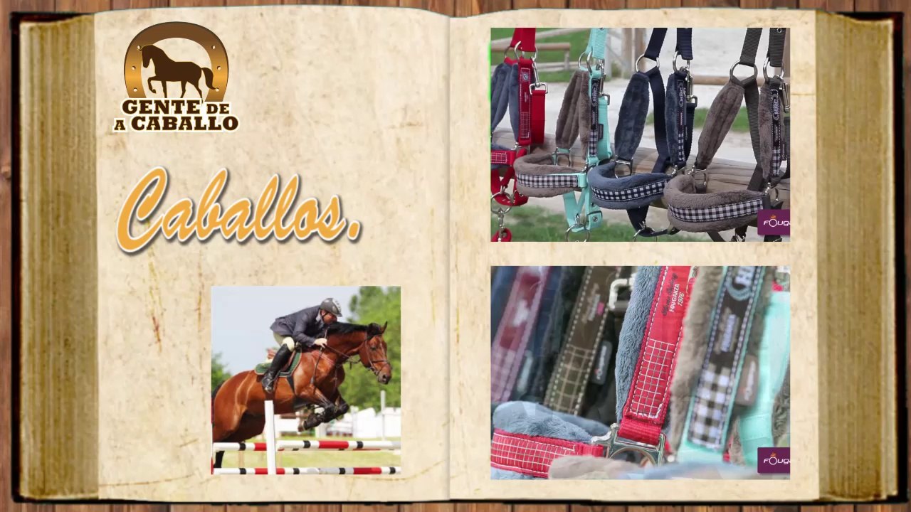 Gente de a caballo