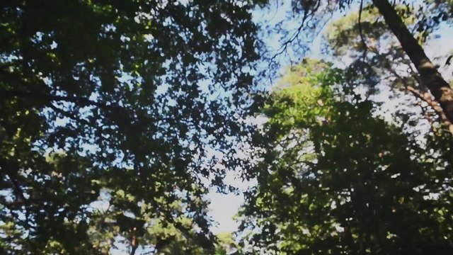 KaeN feat. Cheeba, WdoWA - Zbyt wiele