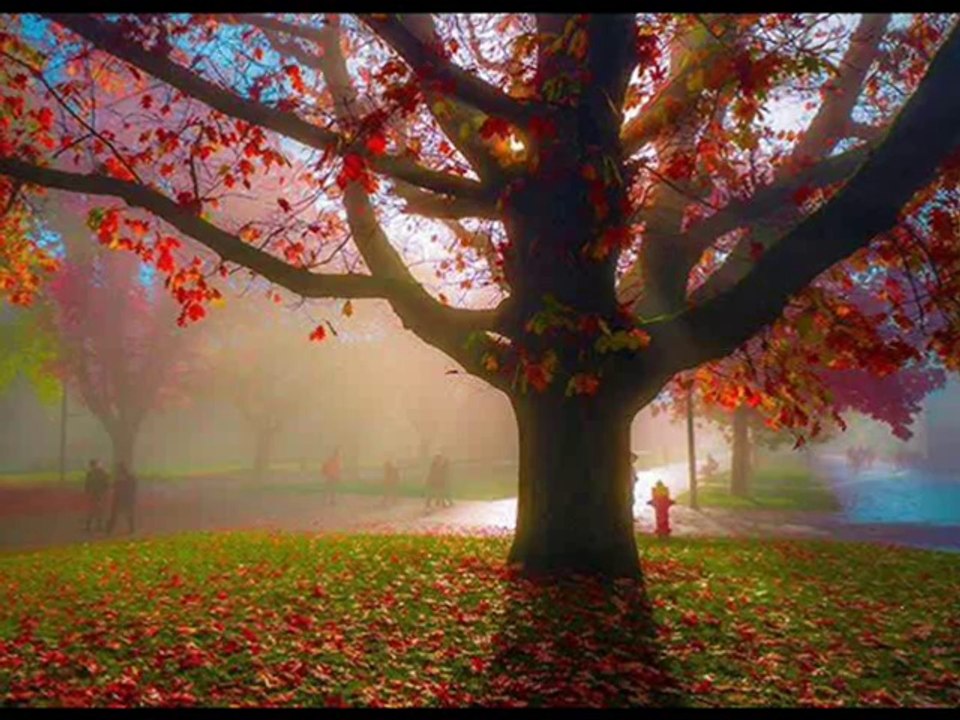 YILDIZ DEMİRKOL SAVAŞ-yıldızlıtürküler-ÇORABI ÇEKTİM DİZİME