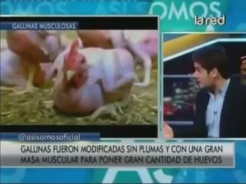 SALFATE Las Mutaciones de Animales en el Mundo