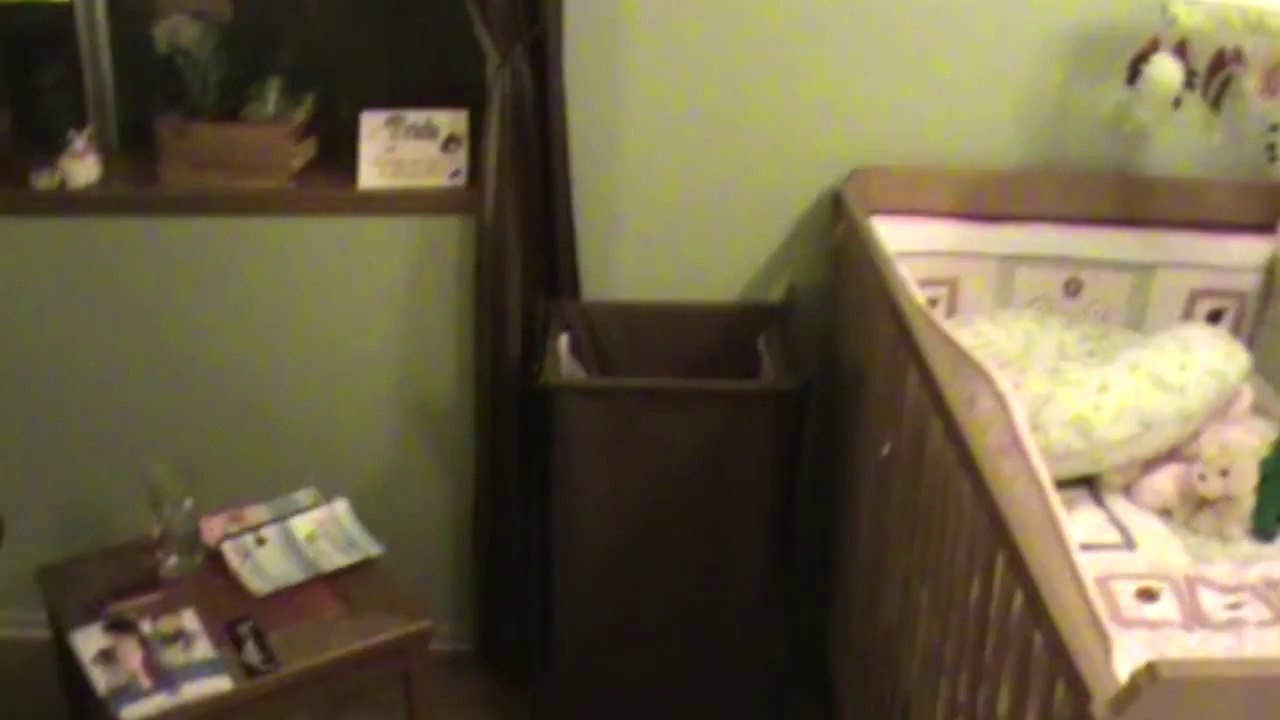 Sneaky Cat Fails
