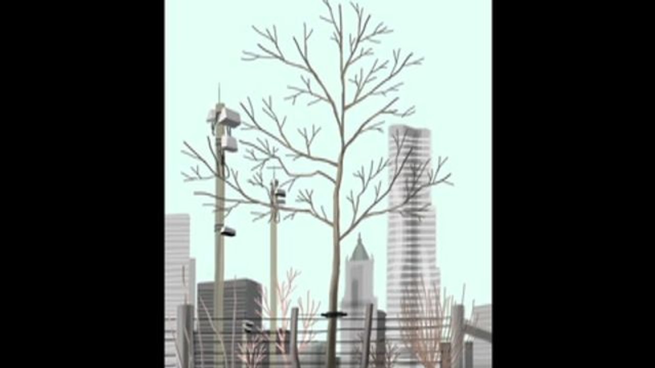 Sketchbook - Barren Trees