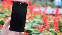 Google Nexus 5 chính hãng tại Việt Nam
