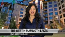 The Westin Mammoth Mammoth Lakes         Superb         Five Star Review by Van T.