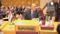 Arab League foreign ministers back Egypt's call for a Gaza ceasefire