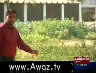 Shabbir tu dekhega "EXPRESS NEWS" YASIR LODHI