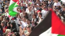 Manifestation pro-palestinienne à Lille