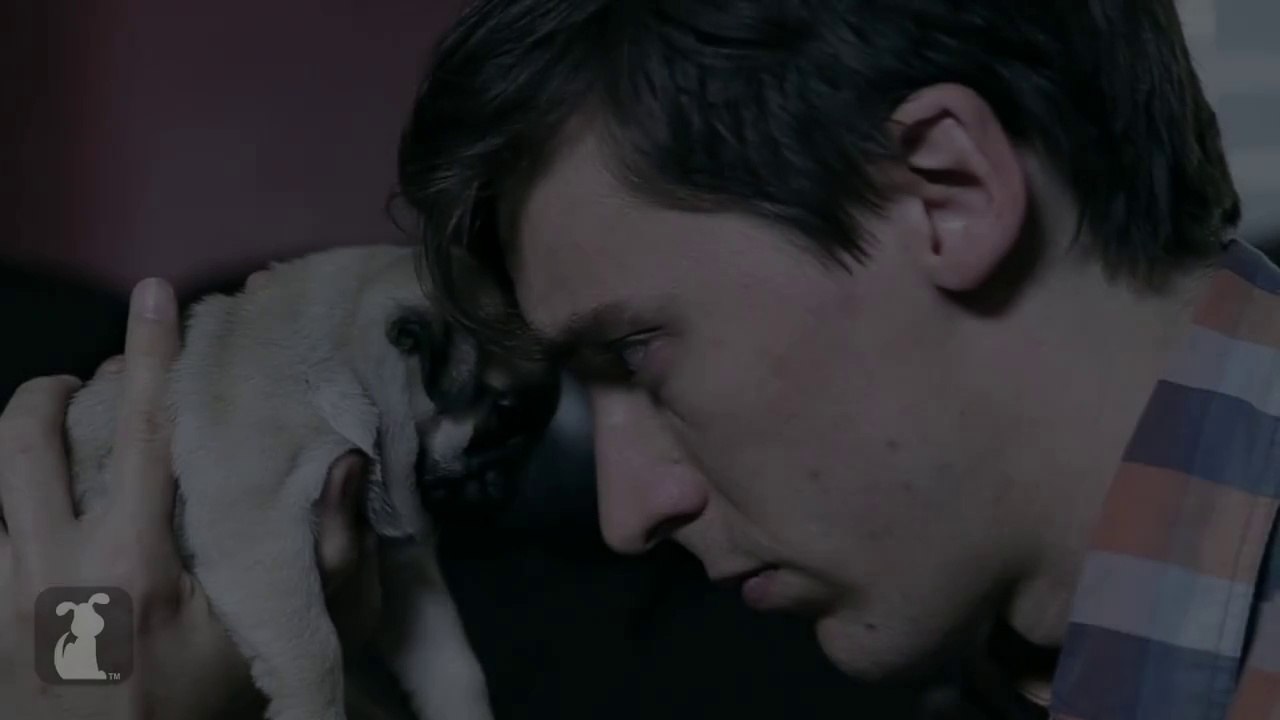 Parodie de La planète des singes - trailer en version "chiens trop mignons"!