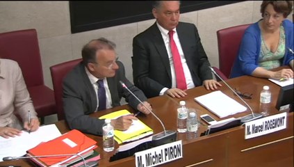 Intervention rapport d'information réserves et dépots des musées