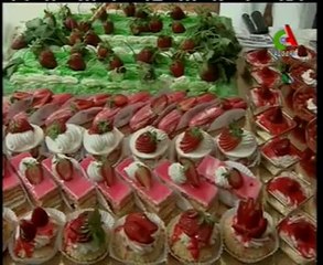 Algerie,Jijel,culture de la fraise