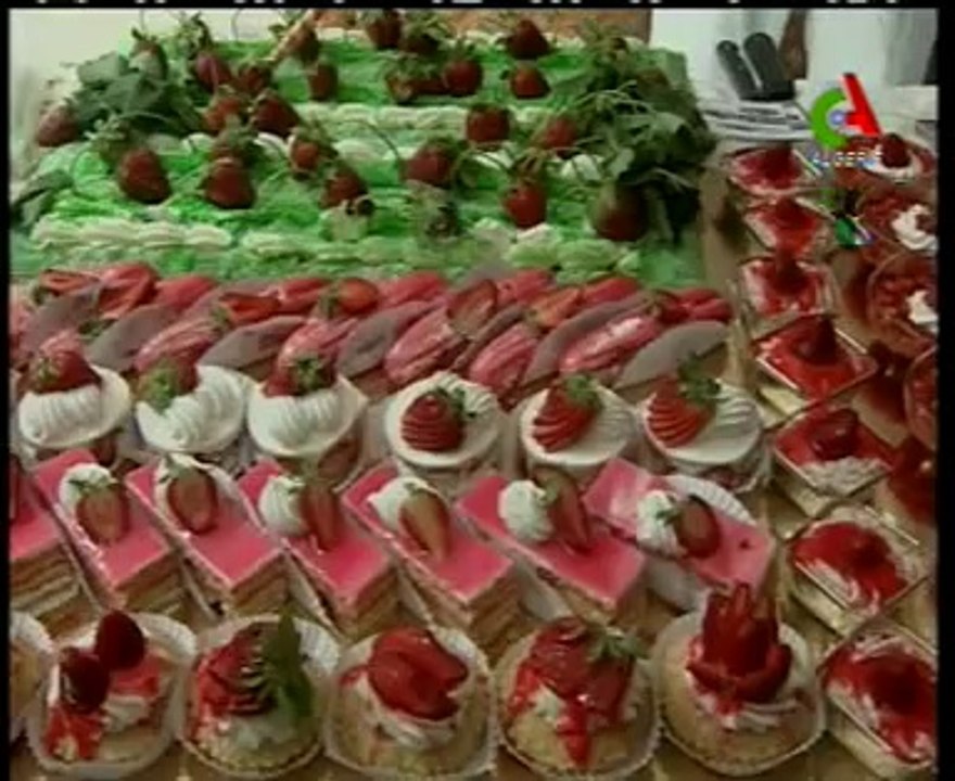 Algerie,Jijel,culture de la fraise