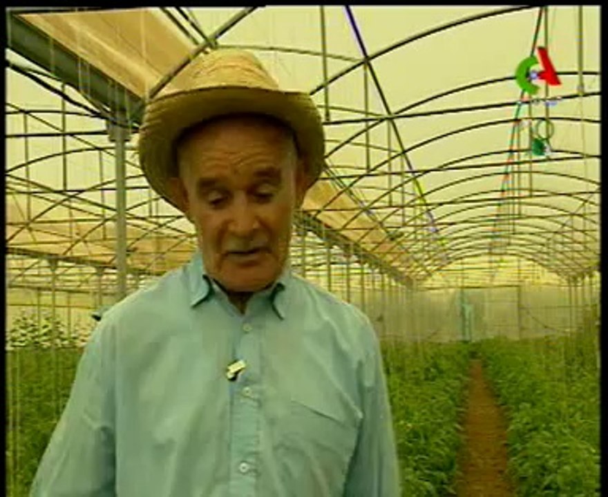 Algerie,Jijel serre multi-chapelle