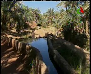 Algerie,Irrigation, réhabilitation des Fougaras