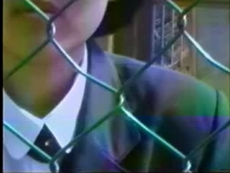 Jaurim - Fallen Blossom