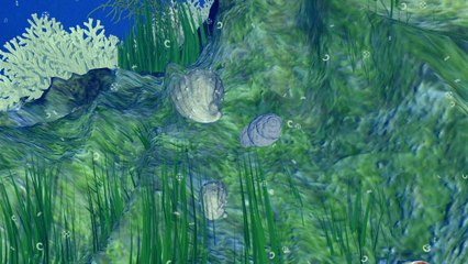 L'acidification des océans