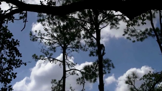 Time Lapse 2 HD 1080p - Video Backgrounds