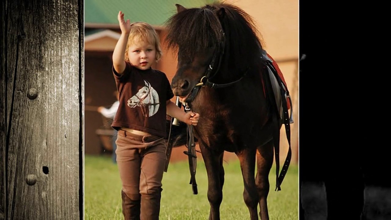 "Олег Денисов - Упряжка" ( "Oleg Denisov - The Team" ) HD720p