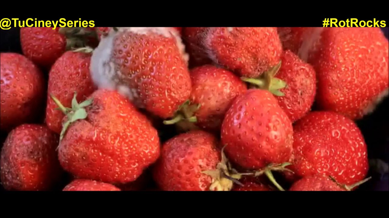 Especial El Reino Secreto - Rot Rocks