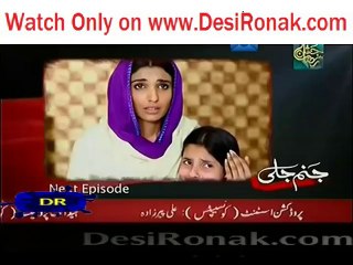 Janam Jali Episode 13 - 17th July 2014 Promo - YouTube