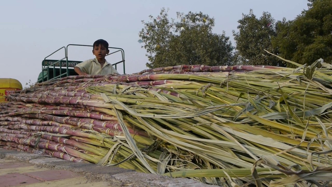 13th January 2014, Ahmedabad, India