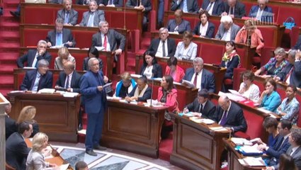 François Rebsamen, Questions au gouvernement (15/07/2014)