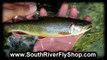 Fly Fishing Guide Hampton VA | South River Fly Shop