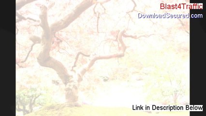 Blast4Traffic Reviews - See my Review