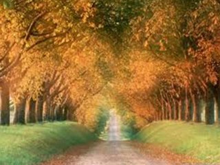 YILDIZ DEMİRKOL SAVAŞ-yıldızlıtürküler-GİNE GAM YÜKÜNÜN KERVANI GELDİ