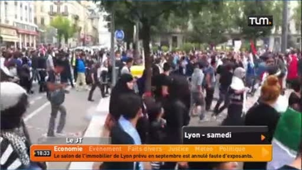 Manifestation de soutien à la Palestine (Lyon)