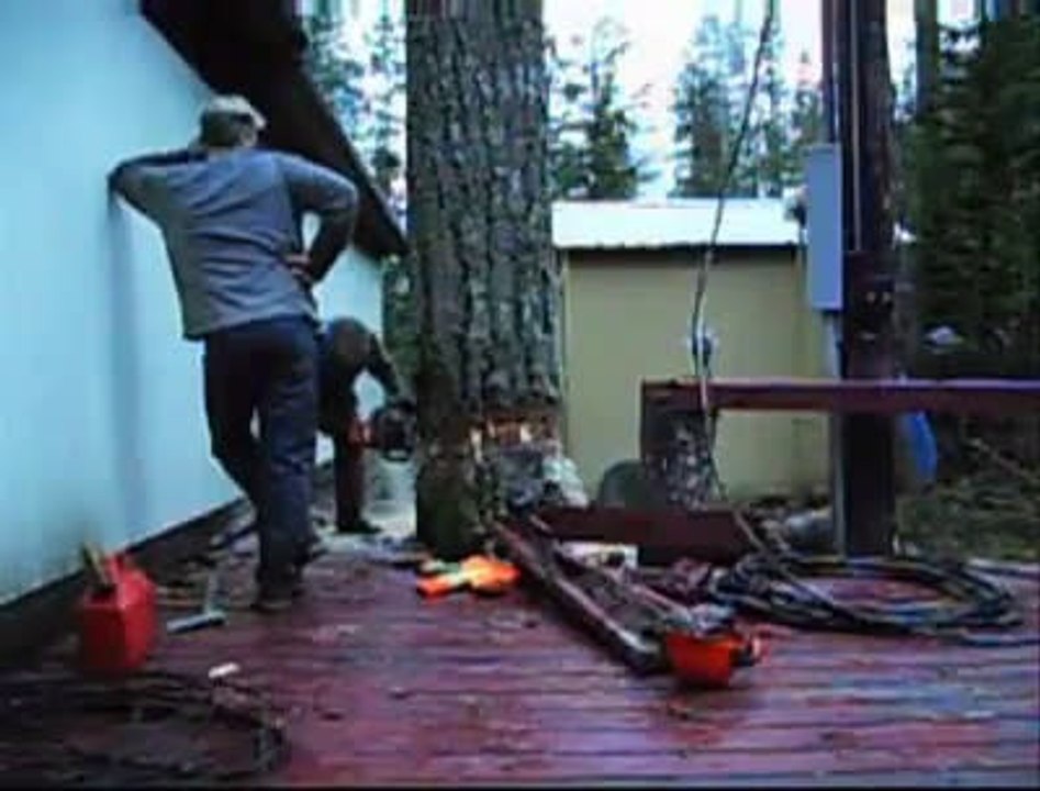 Tree-Faller