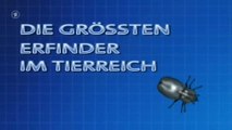 Die größten Erfinder im Tierreich - 1v2 - Der sechste Sinn - 2001 - by ARTBLOOD