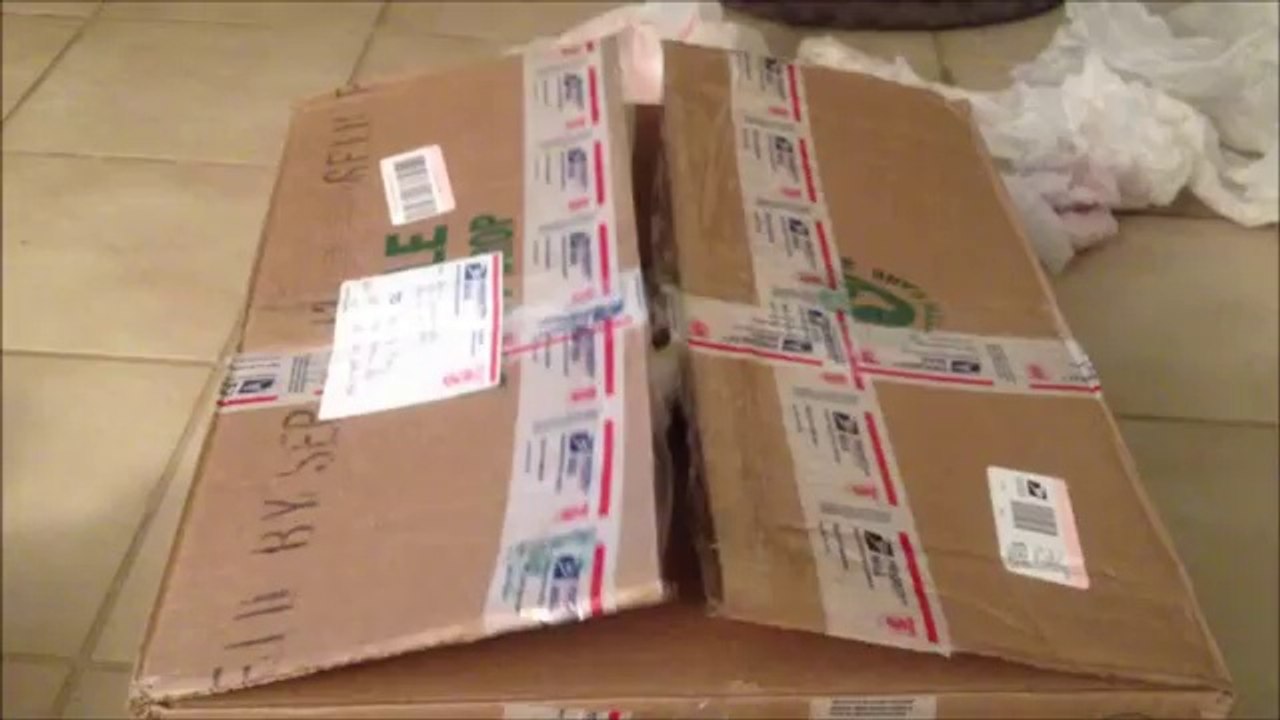CATS IN THE BOX