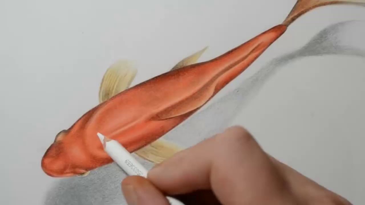 3D Art Drawing | Amazing Fun