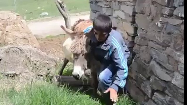 Eşeği Saldım Çayıra Şarkısına klip Çeken Zalımlar