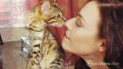 Canal Overlook Apartments in Indianapolis, IN - ForRent.com