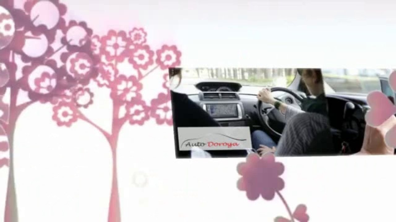 Auto Doroga