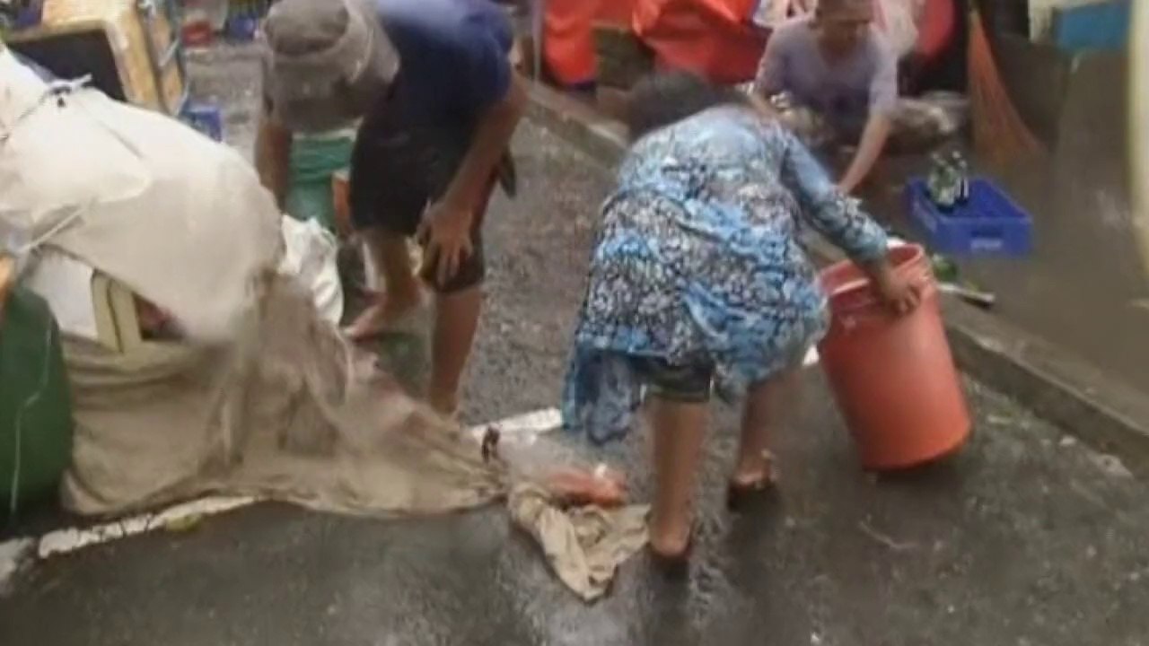 Typhoon Rammasun batters central Philippines