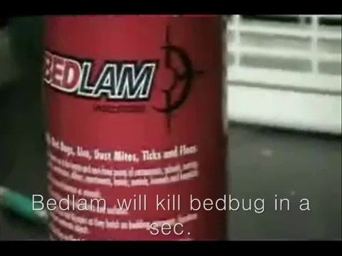 How To Get Rid of Bed Bugs