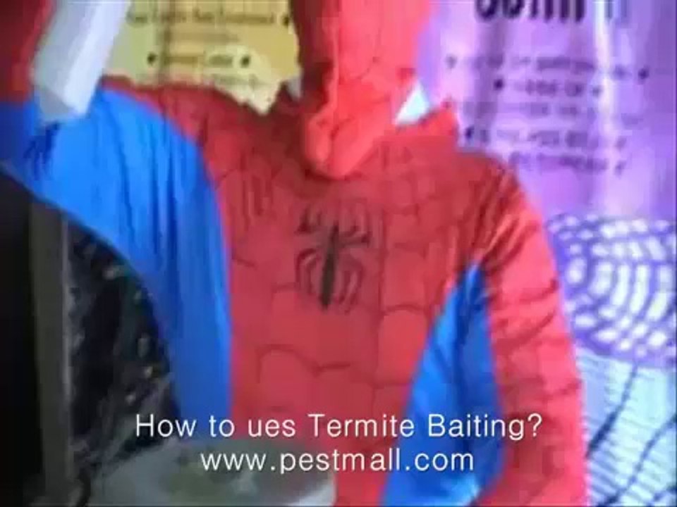 How to Get Rid of Termites