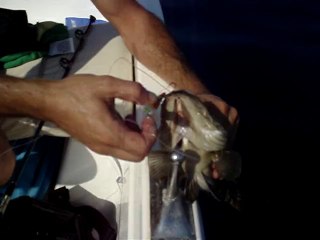 TUT BIRAK LAGOS AVI - www.adrasanbalik.com