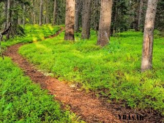 İBRAHIM ERKAL-ERZURUMA GEL