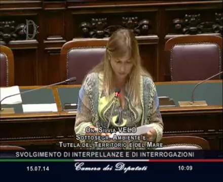 Roma - Camera - 17° Legislatura - 264° seduta (15.07.14)