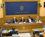 Roma - Conferenza stampa di Fucsia Nissoli Fitzgerald (15.07.14)