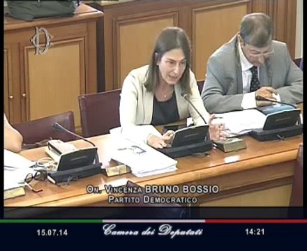 Roma - Audizione sul sistema dei servizi di media audiovisivi e radiofonici (15.07.14)