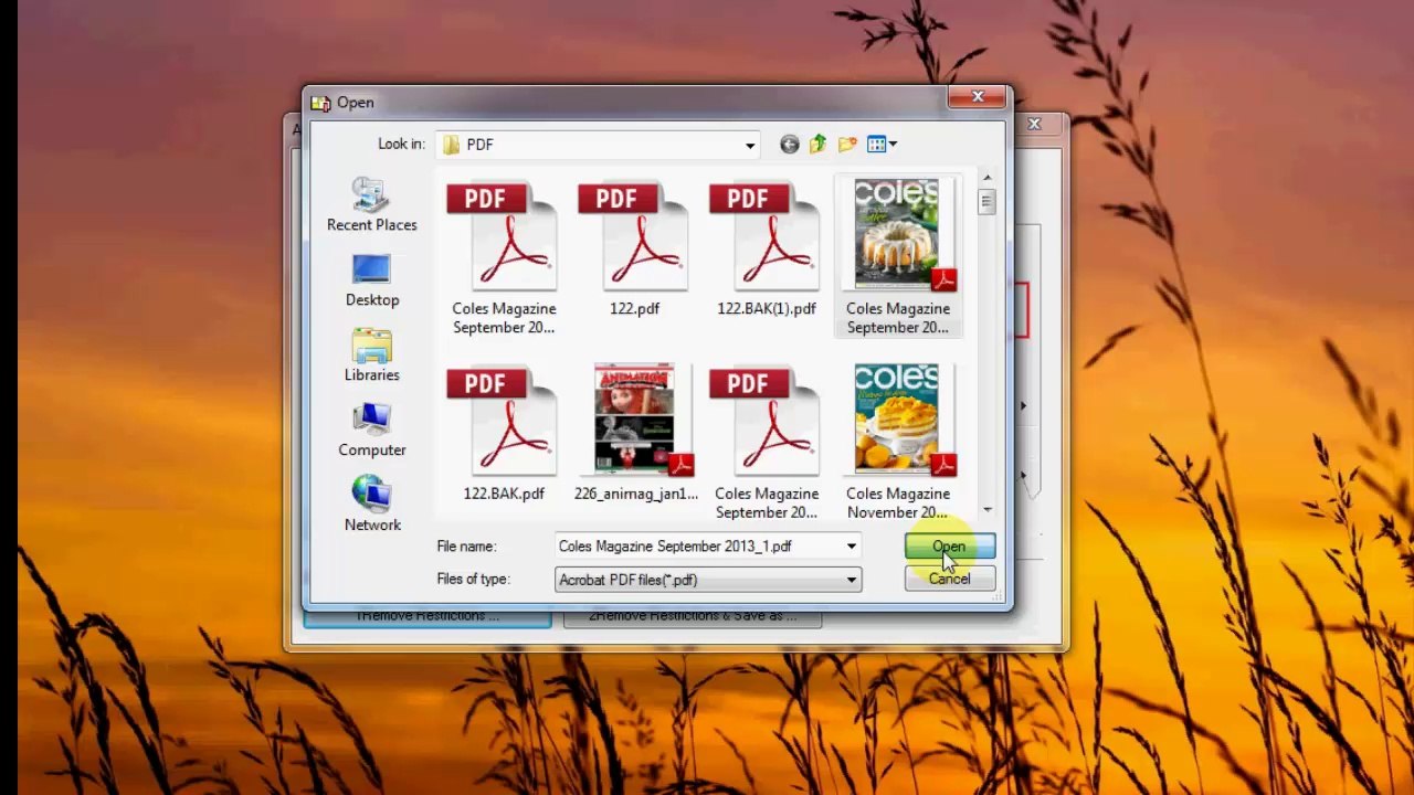 PDF Tool to Remove PDF Password and Permission by PDF Security Remover Software