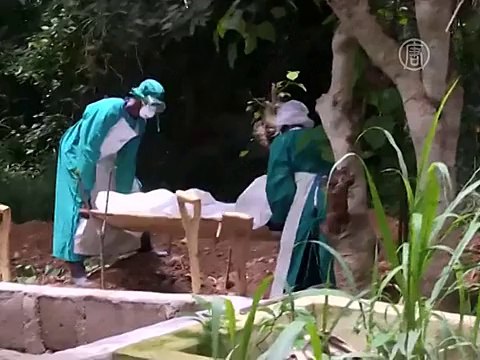 Эпидемия Эбола наступает на Африку