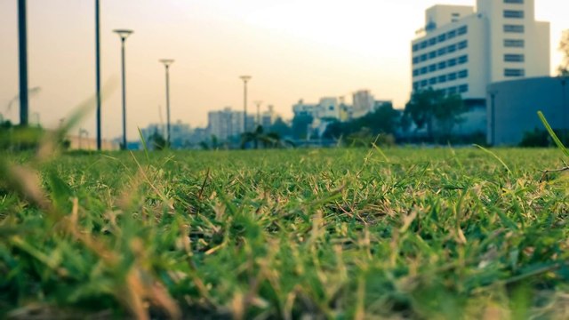 Sabarmati Riverfront Garden, Ahmedabad (India)